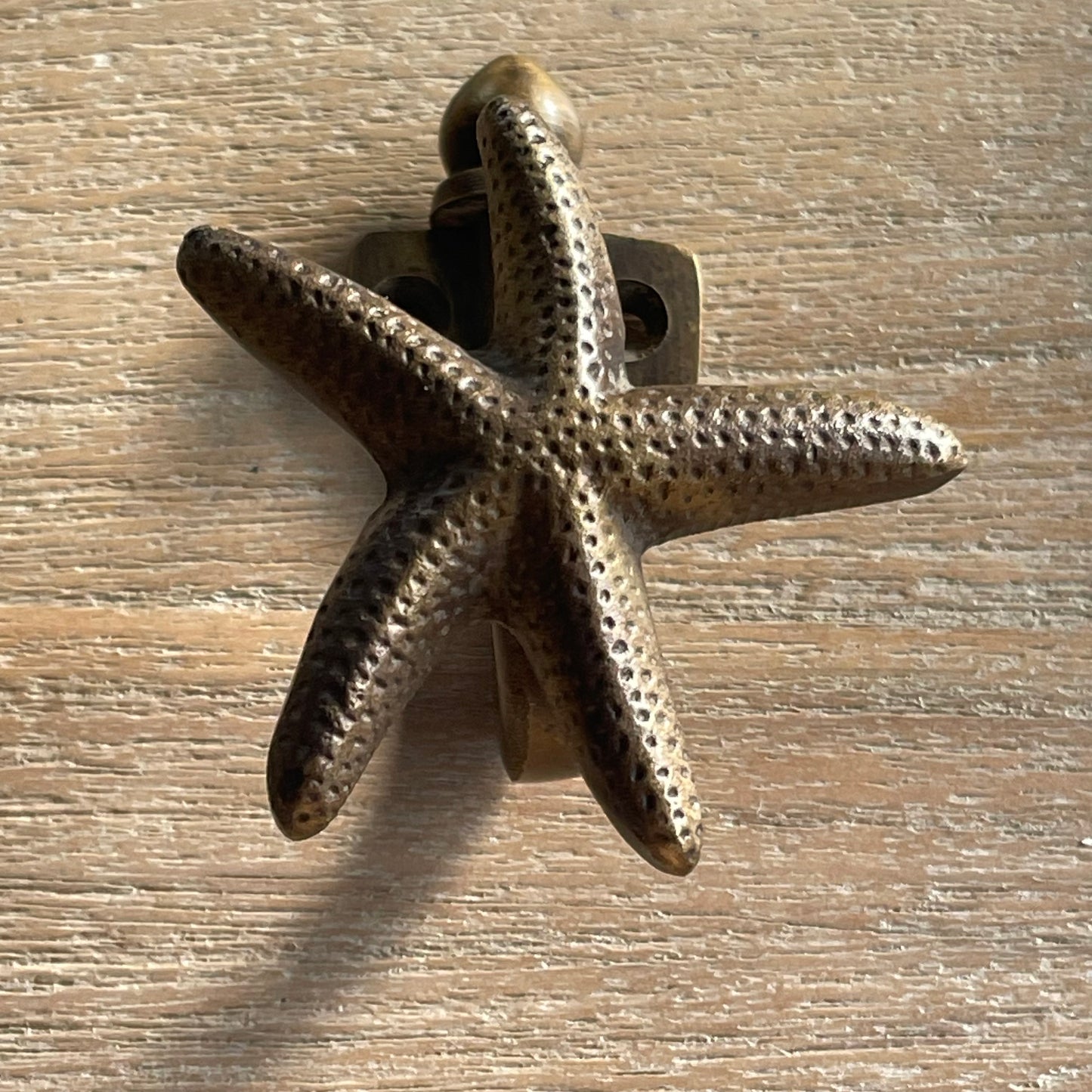 Starfish Brass Hook