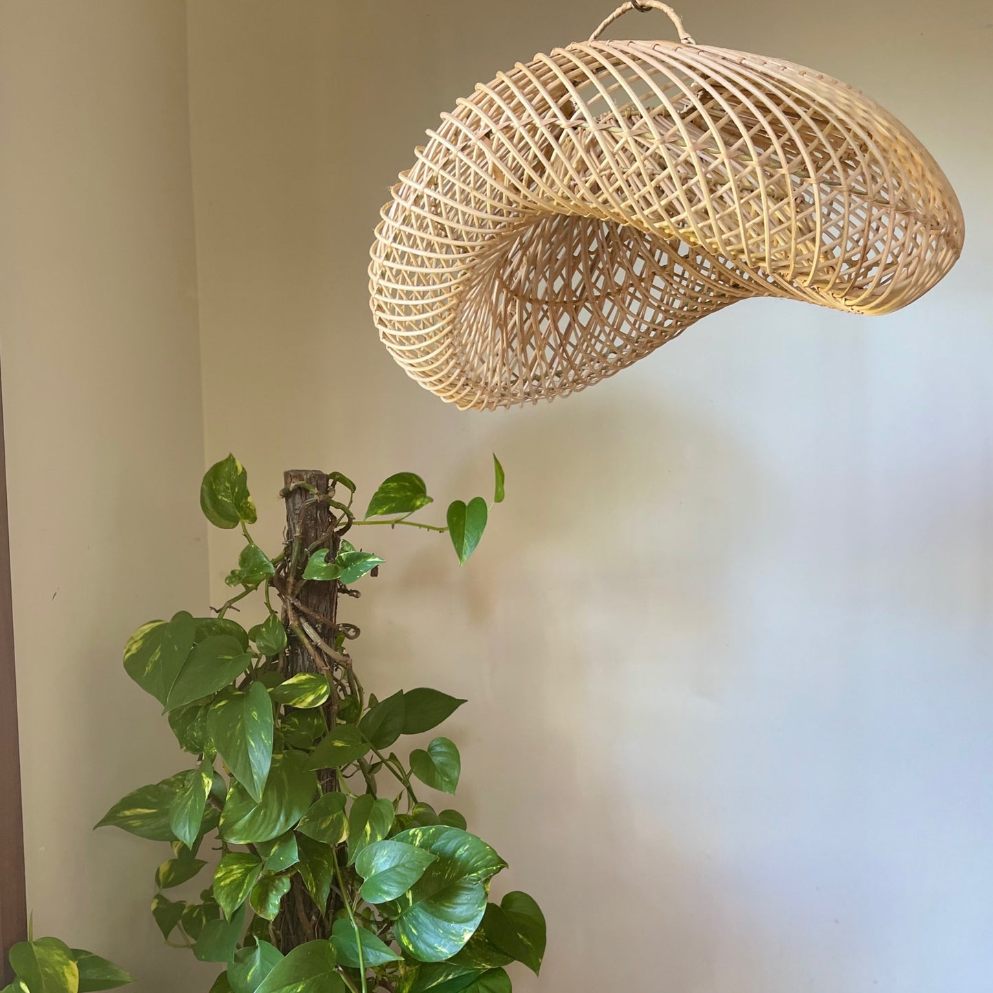 Rattan Cloud Pendant Light